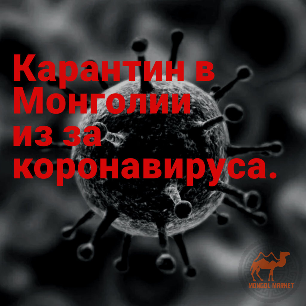 Карантин в Монголии